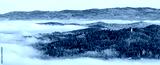 preview cold