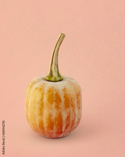 image to crop