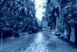 preview cold