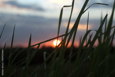 image to crop