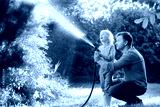 preview cold