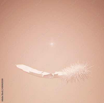 image to crop