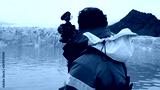 preview cold