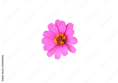 image to crop
