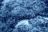 preview cold