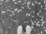 preview bw