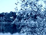 preview cold