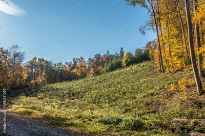 image to crop