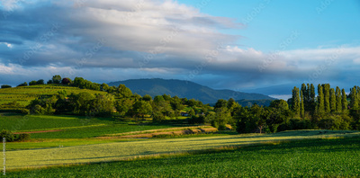 image to crop