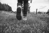 preview bw