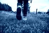 preview cold