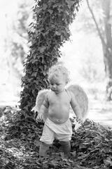 preview bw