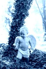 preview cold