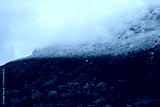 preview cold