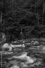 preview bw