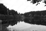 preview bw