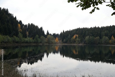 image to crop