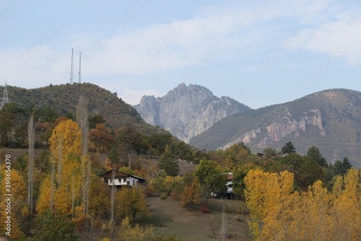 image to crop