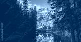 preview cold