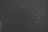 preview bw