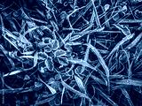 preview cold