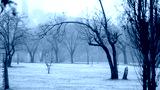 preview cold