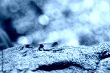 preview cold