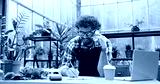 preview cold