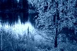 preview cold