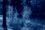 preview cold