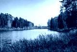 preview cold