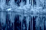 preview cold