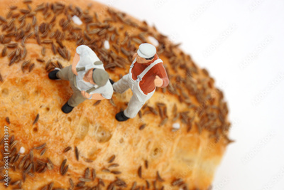 image to crop