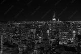 preview bw