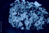 preview cold