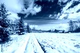 preview cold