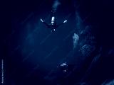 preview cold
