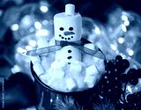 preview cold