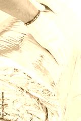 preview sephia