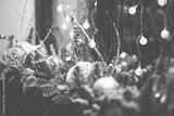 preview bw