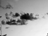 preview bw