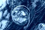 preview cold