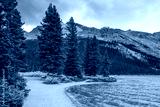 preview cold