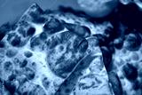 preview cold