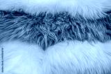 preview cold