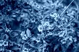 preview cold
