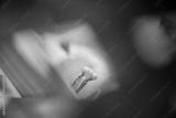 preview bw