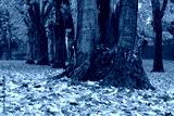 preview cold