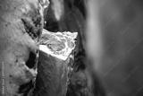 preview bw