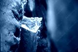 preview cold